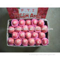Apple fruit fresh